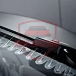 Fshirese Xhami Per Gle